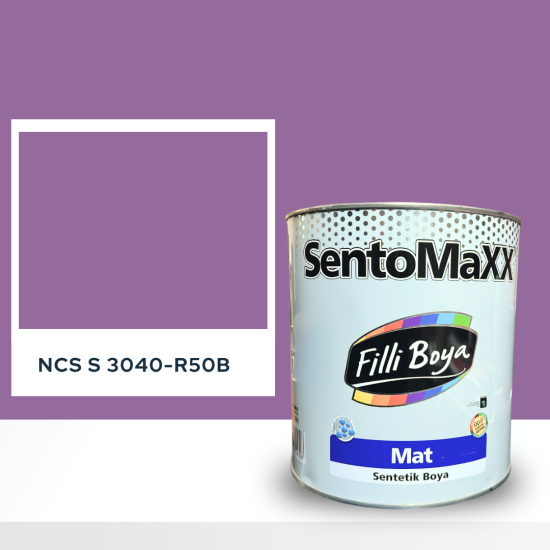 Filli Boya Sentomaxx Boya NCS S 3040-R50B