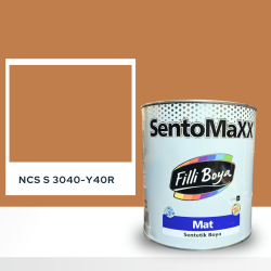Filli Boya Sentomaxx Boya NCS S 3040-Y40R