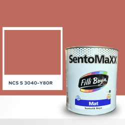 Filli Boya Sentomaxx Boya NCS S 3040-Y80R