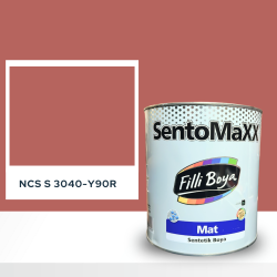 Filli Boya Sentomaxx Boya NCS S 3040-Y90R