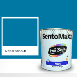 Filli Boya Sentomaxx Boya NCS S 3050-B