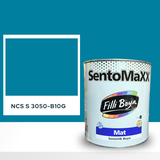Filli Boya Sentomaxx Boya NCS S 3050-B10G