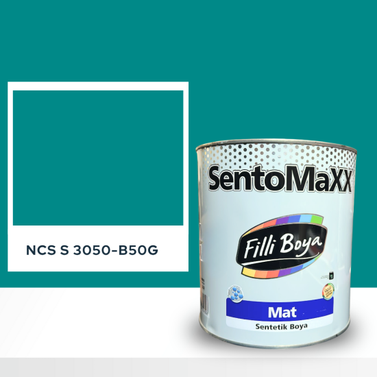 Filli Boya Sentomaxx Boya NCS S 3050-B50G