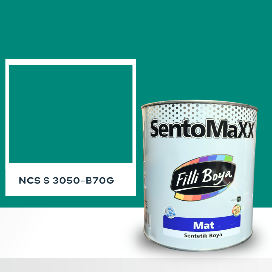 Filli Boya Sentomaxx Boya NCS S 3050-B70G