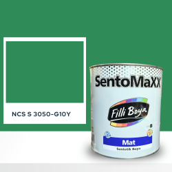 Filli Boya Sentomaxx Boya NCS S 3050-G10Y