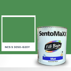 Filli Boya Sentomaxx Boya NCS S 3050-G20Y