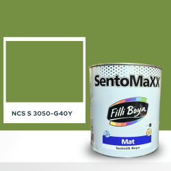 Filli Boya Sentomaxx Boya NCS S 3050-G40Y