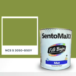 Filli Boya Sentomaxx Boya NCS S 3050-G50Y
