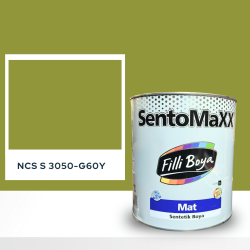 Filli Boya Sentomaxx Boya NCS S 3050-G60Y