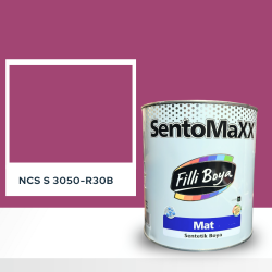Filli Boya Sentomaxx Boya NCS S 3050-R30B