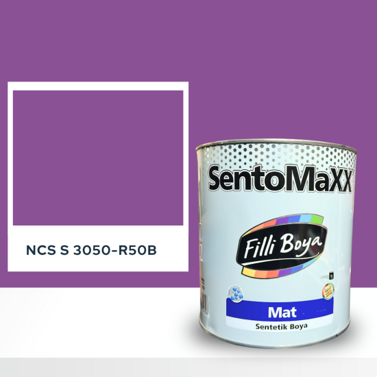 Filli Boya Sentomaxx Boya NCS S 3050-R50B