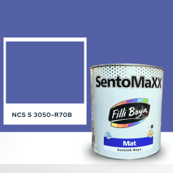 Filli Boya Sentomaxx Boya NCS S 3050-R70B