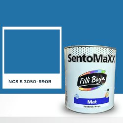Filli Boya Sentomaxx Boya NCS S 3050-R90B
