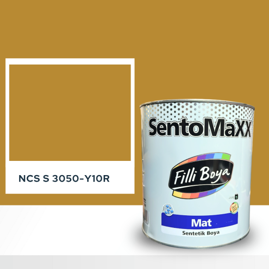 Filli Boya Sentomaxx Boya NCS S 3050-Y10R