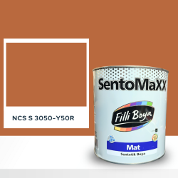 Filli Boya Sentomaxx Boya NCS S 3050-Y50R