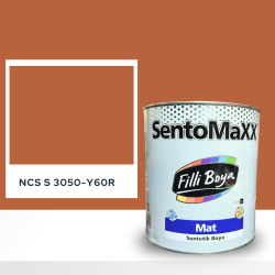 Filli Boya Sentomaxx Boya NCS S 3050-Y60R