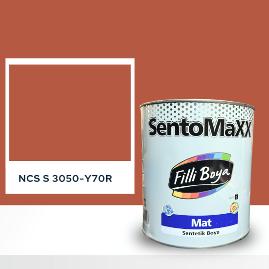 Filli Boya Sentomaxx Boya NCS S 3050-Y70R