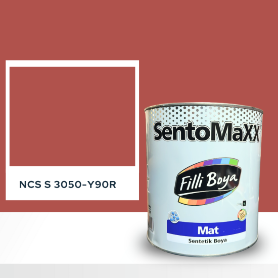 Filli Boya Sentomaxx Boya NCS S 3050-Y90R