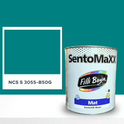 Filli Boya Sentomaxx Boya NCS S 3055-B50G