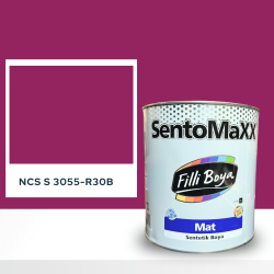 Filli Boya Sentomaxx Boya NCS S 3055-R30B