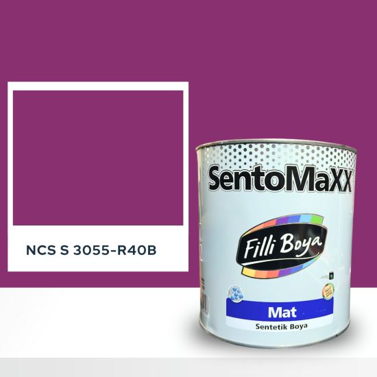 Filli Boya Sentomaxx Boya NCS S 3055-R40B