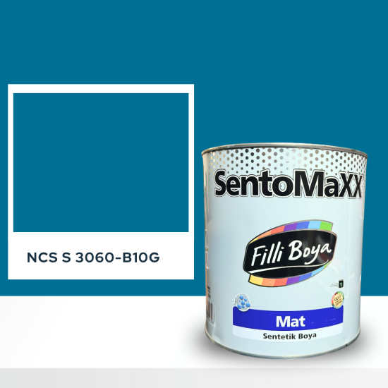 Filli Boya Sentomaxx Boya NCS S 3060-B10G