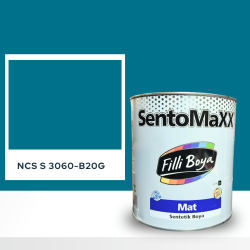 Filli Boya Sentomaxx Boya NCS S 3060-B20G