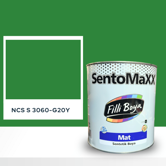 Filli Boya Sentomaxx Boya NCS S 3060-G20Y