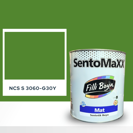 Filli Boya Sentomaxx Boya NCS S 3060-G30Y