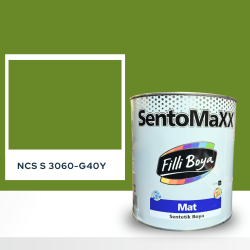Filli Boya Sentomaxx Boya NCS S 3060-G40Y