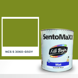 Filli Boya Sentomaxx Boya NCS S 3060-G50Y