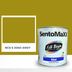 Filli Boya Sentomaxx Boya NCS S 3060-G90Y