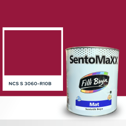 Filli Boya Sentomaxx Boya NCS S 3060-R10B