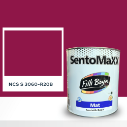 Filli Boya Sentomaxx Boya NCS S 3060-R20B