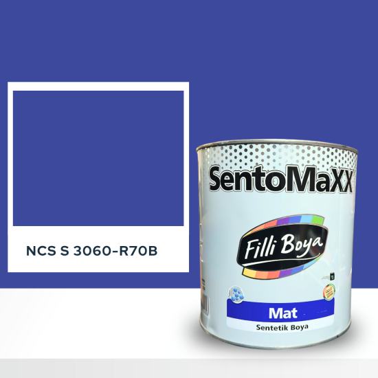 Filli Boya Sentomaxx Boya NCS S 3060-R70B