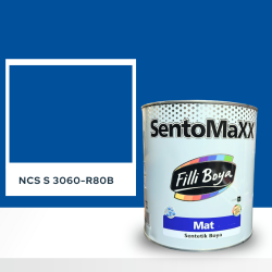 Filli Boya Sentomaxx Boya NCS S 3060-R80B