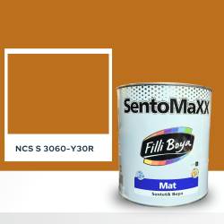 Filli Boya Sentomaxx Boya NCS S 3060-Y30R