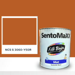 Filli Boya Sentomaxx Boya NCS S 3060-Y50R