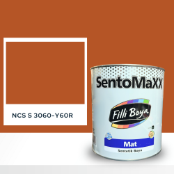 Filli Boya Sentomaxx Boya NCS S 3060-Y60R