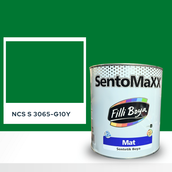 Filli Boya Sentomaxx Boya NCS S 3065-G10Y