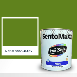 Filli Boya Sentomaxx Boya NCS S 3065-G40Y
