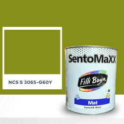 Filli Boya Sentomaxx Boya NCS S 3065-G60Y