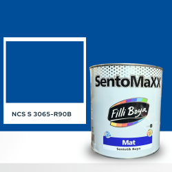 Filli Boya Sentomaxx Boya NCS S 3065-R90B