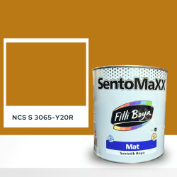 Filli Boya Sentomaxx Boya NCS S 3065-Y20R