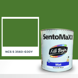 Filli Boya Sentomaxx Boya NCS S 3560-G30Y