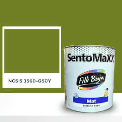 Filli Boya Sentomaxx Boya NCS S 3560-G50Y