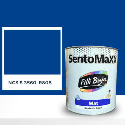 Filli Boya Sentomaxx Boya NCS S 3560-R80B