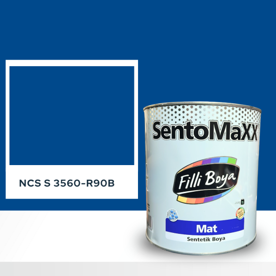 Filli Boya Sentomaxx Boya NCS S 3560-R90B