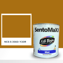 Filli Boya Sentomaxx Boya NCS S 3560-Y20R