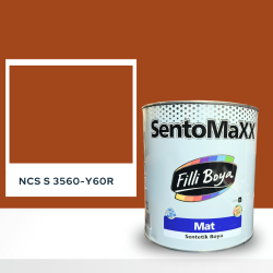 Filli Boya Sentomaxx Boya NCS S 3560-Y60R